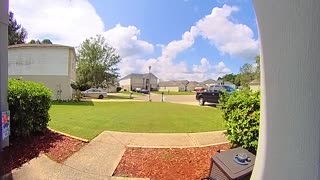 Lizard Sets Off Doorbell Camera