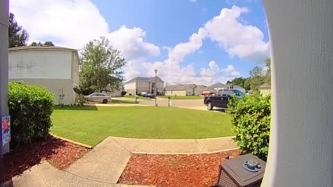 Lizard Sets Off Doorbell Camera