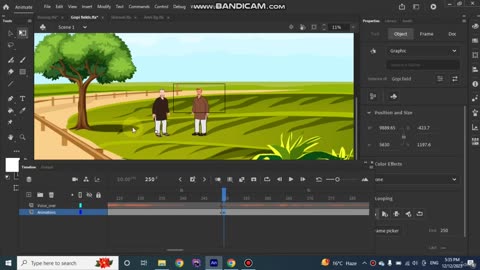 14 - Camera Tool of adobe animate