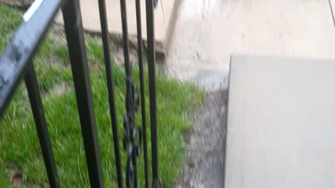 So we got some rain...