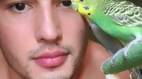 Facial time and gromming with parot