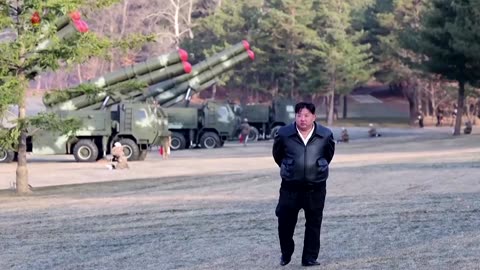 North Korea's Kim oversees live-fire drills: KCNA