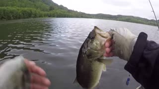 An Awesome Day of Bass Fishing on a Pond - Part 3