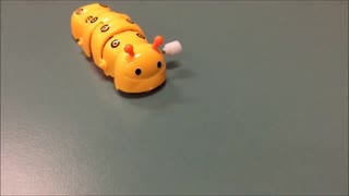 Caterpillar Wind Up Toy