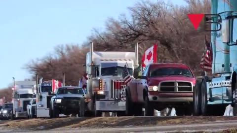 Massive convoy of trucks driving in Canada