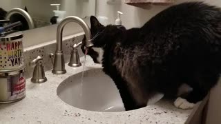 Fenway loves water