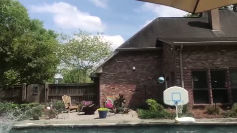 Babies Playing Water In The Pool