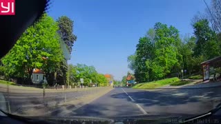 Dog Nearly Runs into Oncoming Traffic