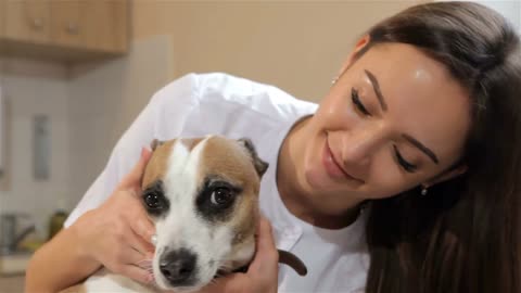 Pretty female veterinarian turning dog's head to the camera