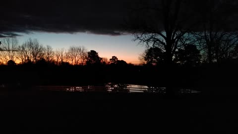 Canadian Geese Greet a Beautiful Sunrise