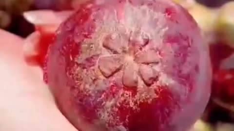 Amazing Fruit Cutting 👌👌