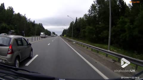 Elk on the loose on busy road