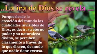 ..LA IRA DE DIOS SE REVELA... _Devocional