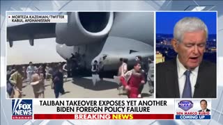 Gingrich: Biden worldview seems to be 'attack your allies, ignore your enemies'