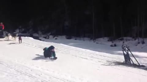 Teal husky sled fail