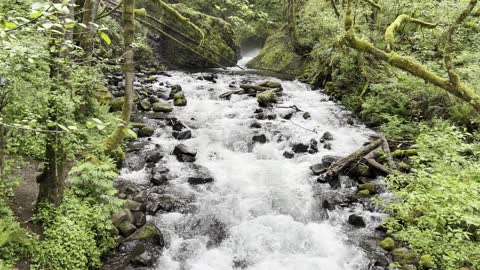 ENJOY the TRANQUILITY of Bridal Veil Falls Creek – Columbia River Gorge – 4K