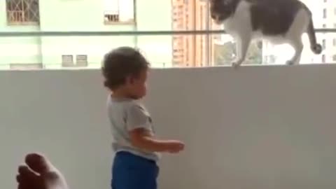 Watch how a cat can protect a child from falling is an amazing thing