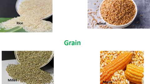 Exports of Agricultural Commodities