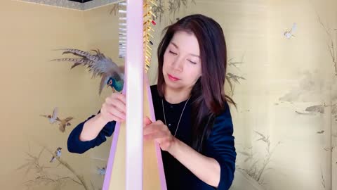 Theme from "Lupin the Third" (25 string lap harp)