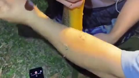#Shorts​ Unique Fishing 🧐 Catching Yellow Monster Eel Fish From Under Deep Mud #77