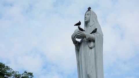 Beautful Birds ON A Statue