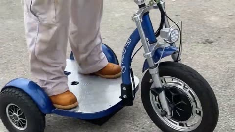 3 Wheel Electric Bike for Adults