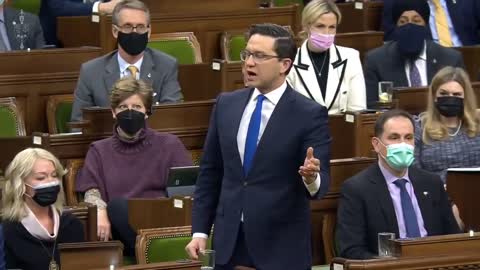 Pierre Poilievre - Trudeau Is a Disgrace to Canada