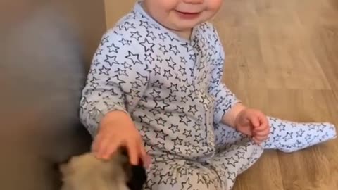 Baby and puppy meet for the first time