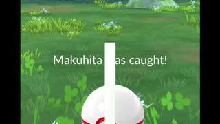 Pokémon GO-Shadow Makuhita