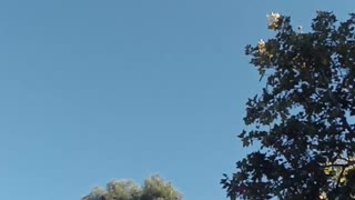 Esplugues sky footage 10/4/2022