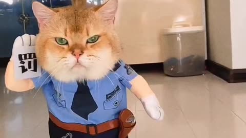 Mr.Catty : I'm an investigating Officer