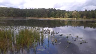 Wildlife Ohio Sandy Ridge Reservation 10/17/21 #5/6