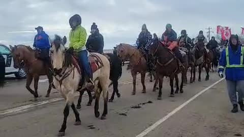 HORESES FREEDOM RALLY IN MILK RIVER .