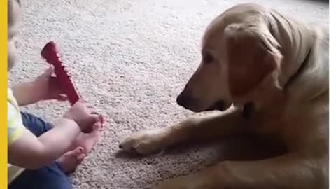 Funny boy with dog