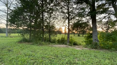 Awesome Sunset Timelapse!