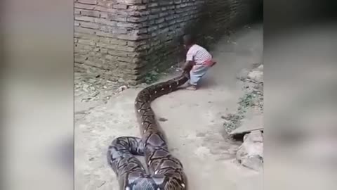 Big Snake and Baby