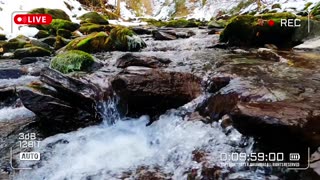 Nature Therapy | Asmr Video No. 088🌈