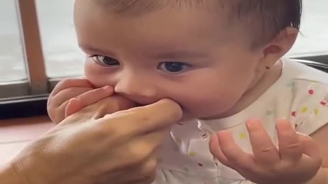 baby tasting lemons for the first itme