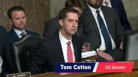 US senator turned the hearing with TikTok into a racist clown show.