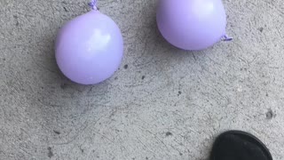 2 Water balloons VS ground