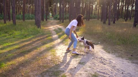 Dog Puppy Pet Animal Canine Friend Playing