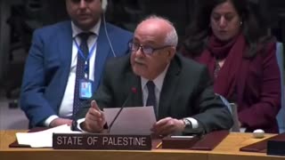 Palestine's UN Ambassador Riyad Mansour at UNSC