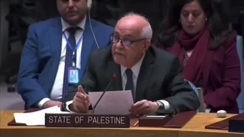 Palestine's UN Ambassador Riyad Mansour at UNSC