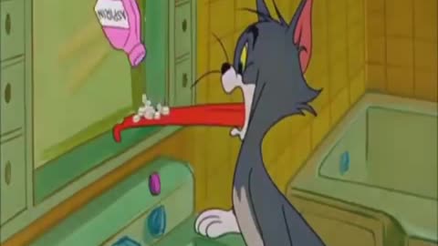 tom and jerry very comedy videos
