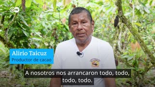 De la violencia de la coca a una apuesta por la vida en Colombia [Video]