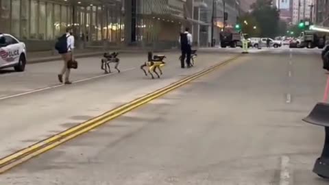USA Robotics Dog in Boston streets