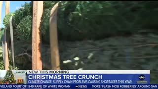 Christmas tree shortage is happening this year due to "The combination of labor shortages and trucking costs"