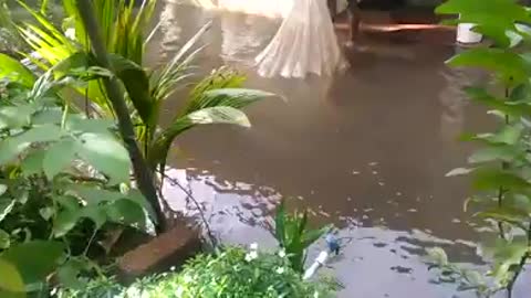 Man catches fishes outside his flooded home.