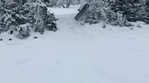 Snowboarding guy runs into tree fail