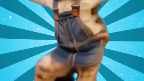 Cute Cat & Dog dance